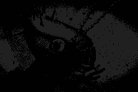 colinraff weird creepy surreal insect GIF