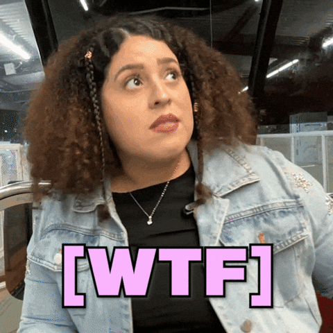 What The Hell Wtf GIF