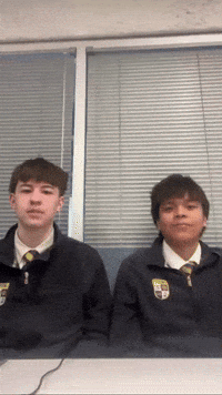 Pound It GIF