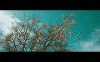 south africa dance GIF by Universal Music Africa