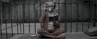 suicide squad q GIF