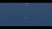 Orion Parachute Splashdown