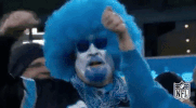 carolina panthers football GIF by NFL