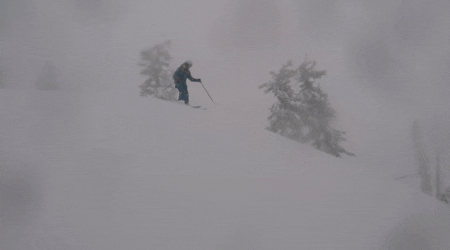 skiing pow pow GIF by Elevated Locals