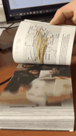 trofymuk giphyupload GIF