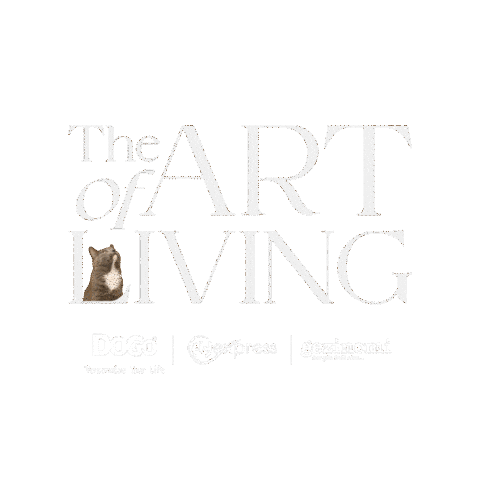 Montenegro Artofliving Sticker by Q Yatırım Holding