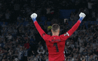 Europa League Football GIF by UEFA