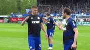 Football Sport GIF by FC Schalke 04