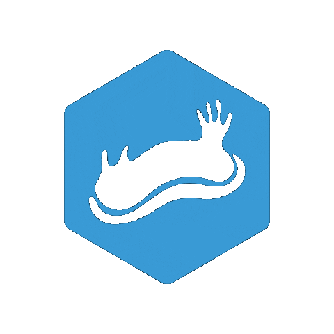 ConservationDiver giphygifmaker nudibranch sea slug conservation diver Sticker