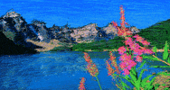 Plants Landscape GIF by Canek