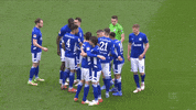 Football Soccer GIF by FC Schalke 04