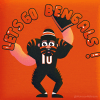 Cincinnati Bengals Football GIF by Manne Nilsson