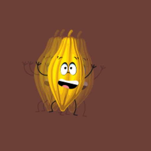 Turismo_Tabasco run mexico chocolate beans GIF