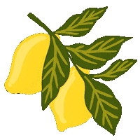 natashareddystudio summer fresh citrus lemons Sticker