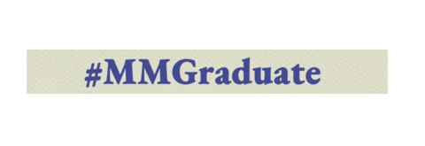 Horse Racing Race Sticker by Magic Millions