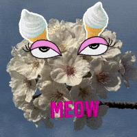 Happy Meow Meow GIF by KaoruHironaka