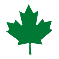 Skateboarding Sticker by Emerica Canada