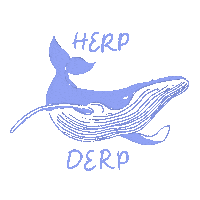 Whale Humpback Sticker by Maggie Chen