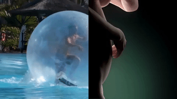 cat power cassius official GIF by CASSIUS