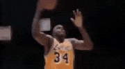 Shaq GIF