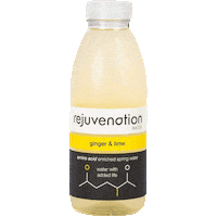 refreshing plant based Sticker by Rejuvenation Water