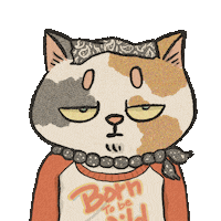 Cat Dude Sticker