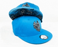 Capichecaps blue white snapback norse GIF