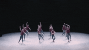 Playlist GIF by English National Ballet