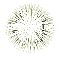 Gj Bonn Sticker by Green Juice Festival