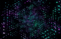 GIF by Woov
