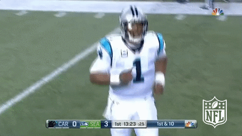carolina panthers football GIF by NFL