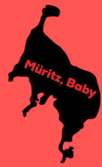 GIF by TDGRechlinmbH