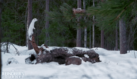 screenmediafilms giphyupload fail falling mondays GIF