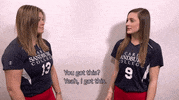 CarlSandburgCollege  GIF