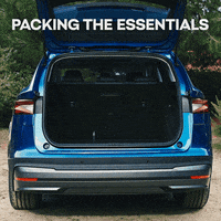 skodaglobal trip bags full road trip GIF