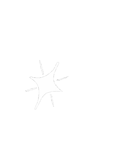 Kira Kira Sparkle Sticker