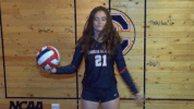 cnvb 2018cnvb GIF by Carson-Newman Athletics
