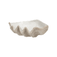 Decor Shell Sticker by PLAYHOUSE Design Game