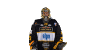 HC_Pustertal hockey thumbs up letsgo goalkeeper Sticker