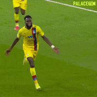 Celebrate Premier League GIF by CPFC