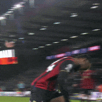 Happy Celebration GIF by AFC Bournemouth