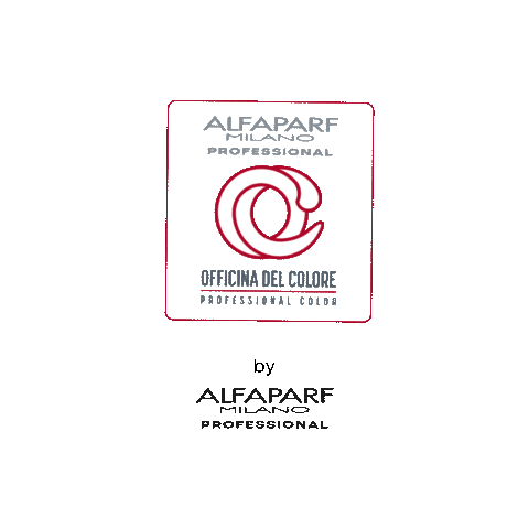 ConceptBeautyRomania giphyupload alfaparf alfaparfmilano conceptbeauty Sticker