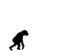 tchouk_cdf tbcc tchoukball tchouk tchouk suisse Sticker