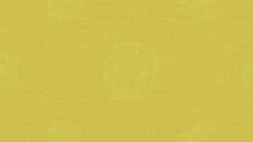 Art Video GIF by jorgemariozuleta