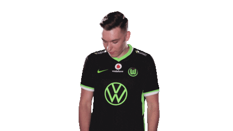 E Sports Sport Sticker by VfL Wolfsburg