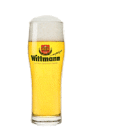 Beer Cheers Sticker by Brauerei Wittmann