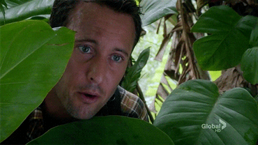 310 GIF