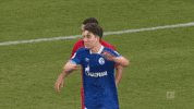 Football Keep Going GIF by FC Schalke 04