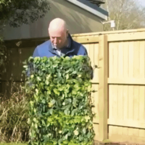 ALQUIMIASTORE giphygifmaker GIF