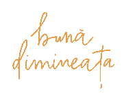 Text Romania Sticker